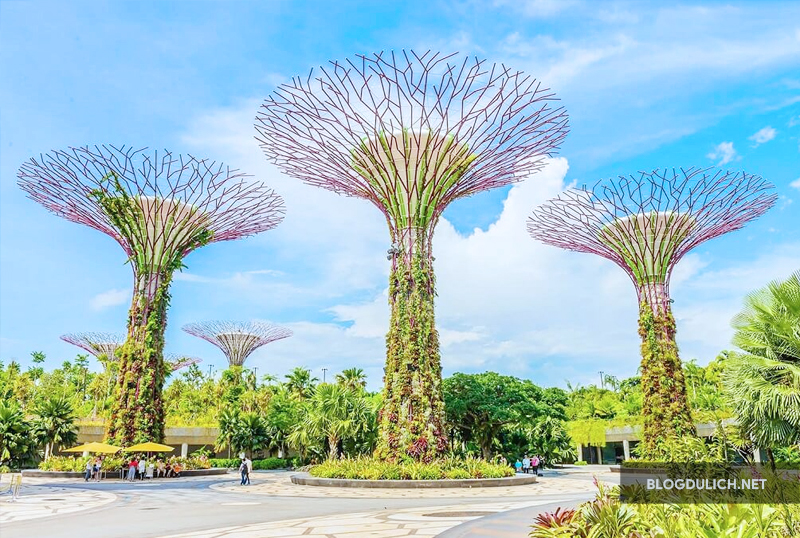 Garden by The Bay