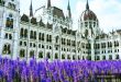 15 điều nho nhỏ bất ngờ ở Budapest Hungary