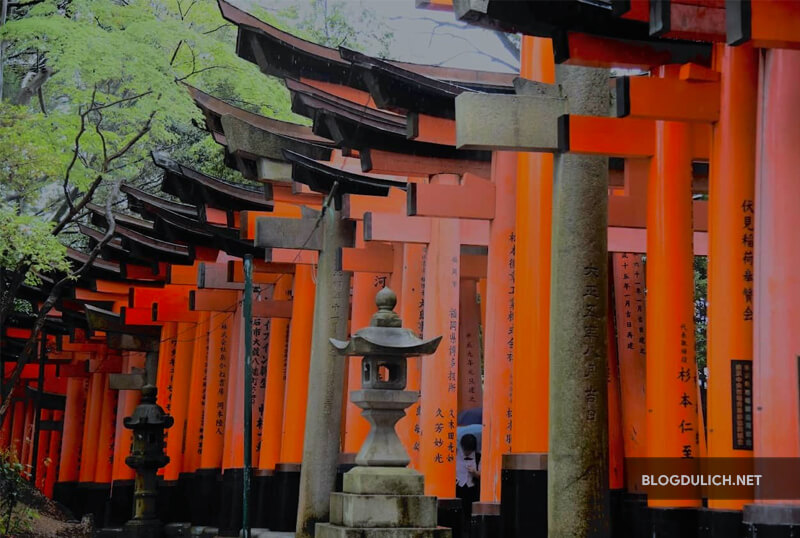 Fushimi Inari – Đền Thần Cáo với “Hồi Ức Một Geisha”