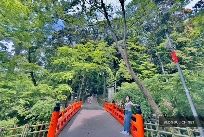 Fushimi Inari – Đền Thần Cáo với “Hồi Ức Một Geisha”